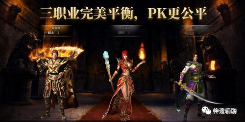 无敌大小姐（第85集），荣耀与危机并存