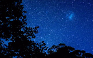 夜空中最亮的星（67集）