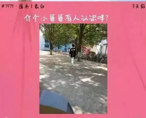 唯有相思不可医，一场深情与治愈的故事（共81集）