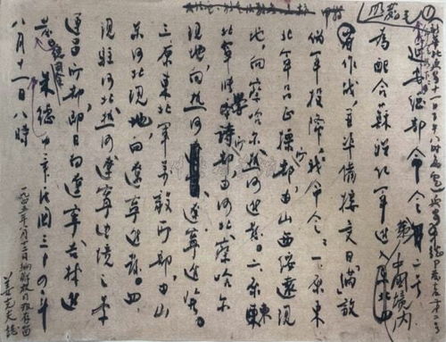 苏叶的反攻（97集）