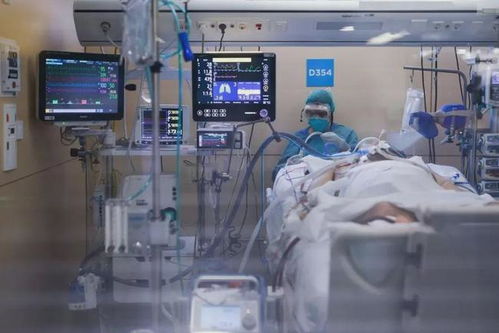 渣男拔掉我氧气管后，我重生了（90集）