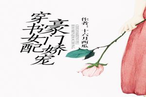 穿书之豪门替嫁