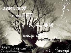 悬崖上的黑玫瑰（101集），生命与爱情的坚韧赞歌