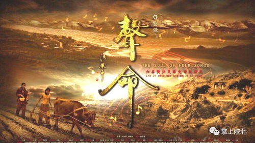 长生之旅，探寻生命奥秘的92集史诗之旅