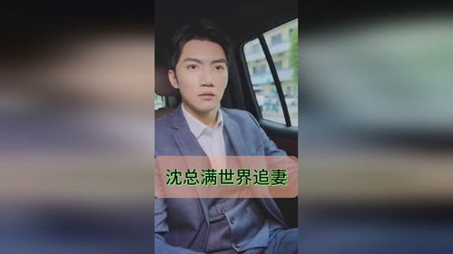 离婚后沈总满世界追妻