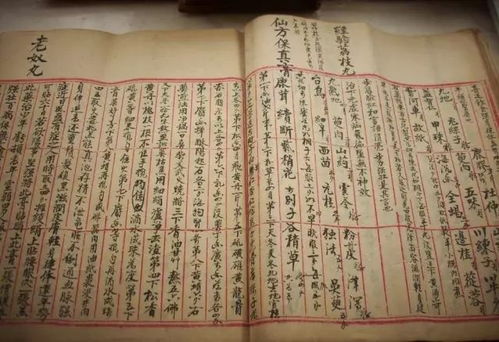 轩辕医圣，古医术的传世之作（88集深度解析）