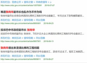 环球小姐学历造假获刑事件，警示与反思