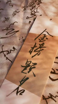 金榜题名之母凭子贵（61集）