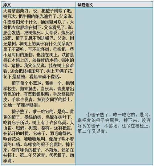 蚀骨情结，命运交织的悲欢离合（80集剧情概述）