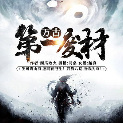 万古第一圣手，一部揭示医术传奇的60集巨作