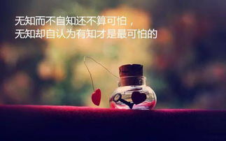 爱你妈妈系列，情感的深度与生活的温度（共69集）