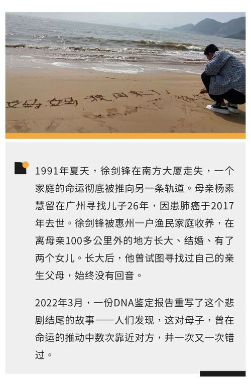 一滴血的距离（26集）