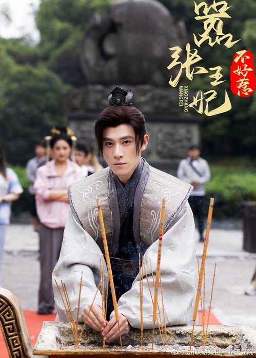 嚣张王妃不好惹（电视剧版）