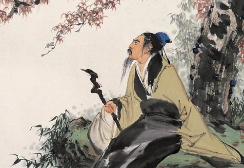 新视角下的下山虎，深度解读一部充满力量的94集佳作
