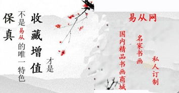 新逍遥神医，传统与现代的交融（共88集）