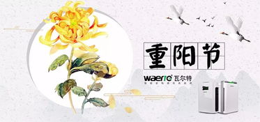 子欲养而亲不待，深度解读人生遗憾与孝道价值（42集）