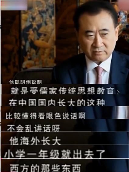 我是首富继承人（92集）罗司纯
