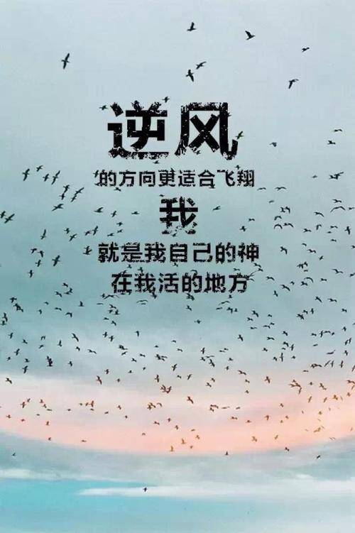 偷换人生之逆风翻盘（第79集）