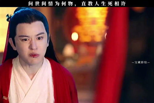 霸总追妻火葬场，虐恋之后的重生