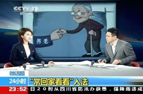 台媒体人感叹，台湾真的该回家了