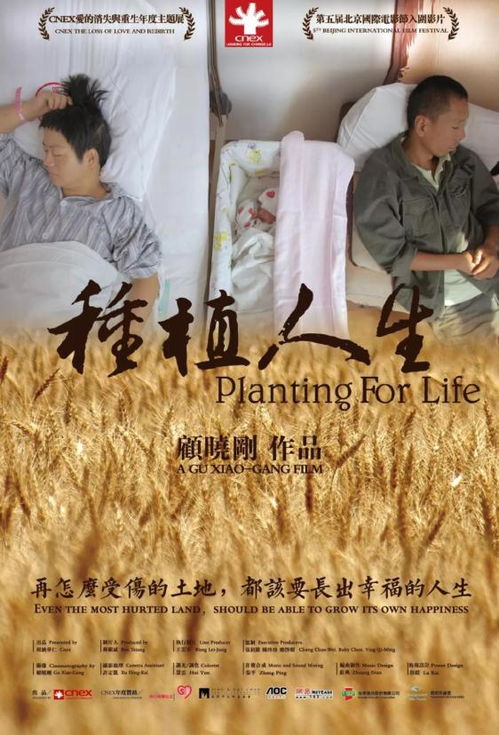 新，破镜不重圆——探寻人生价值与情感真谛的九十集深度剧评