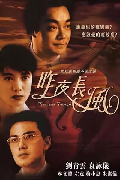 为爱隐身，王宇峰的传奇故事（80集）