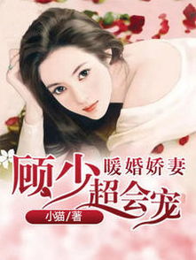 傅少的暖婚娇妻
