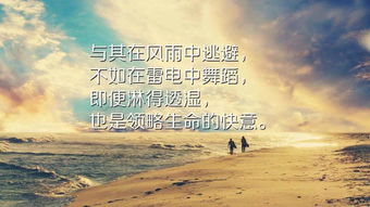 绝对倾心，一场深情厚意的82集长篇之旅