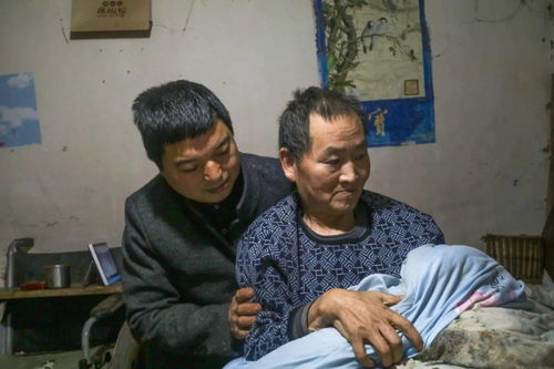 女婿回乡（120集）