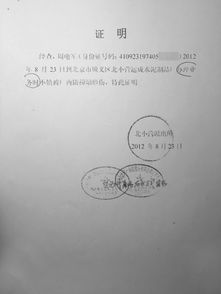 巴拿出证据证明摧毁S400系统，深度解析与评论