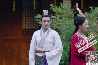 我靠躺平母仪天下，一部母性与智慧的融合之作（99集深度解析）