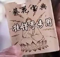 历总，请签收你的龙凤胎（69集）