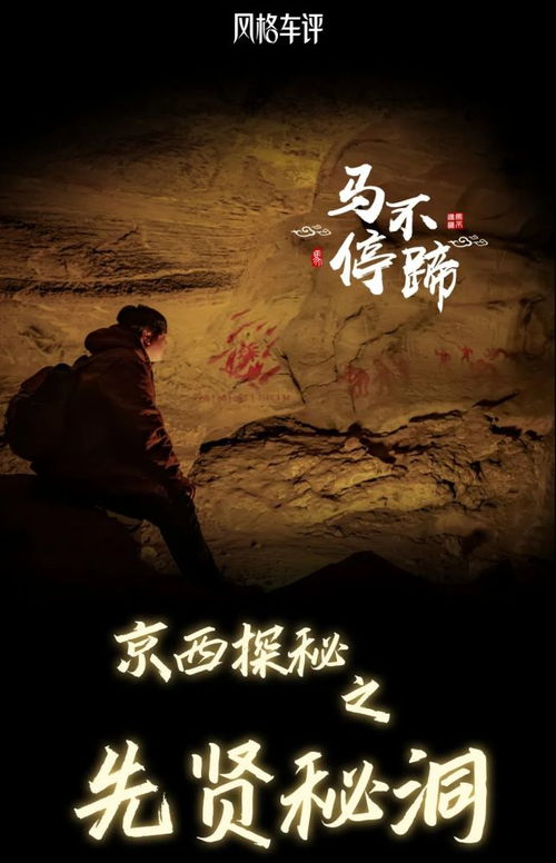 洞观（83集），陈洁蕾的洞察与探索之旅