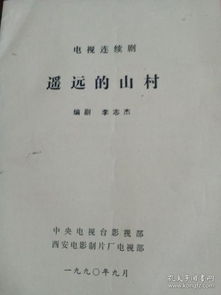 纪念我们遗失的爱（电视剧剧本）
