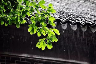 锦屏春暖，一幅春意盎然的生活画卷（84集）