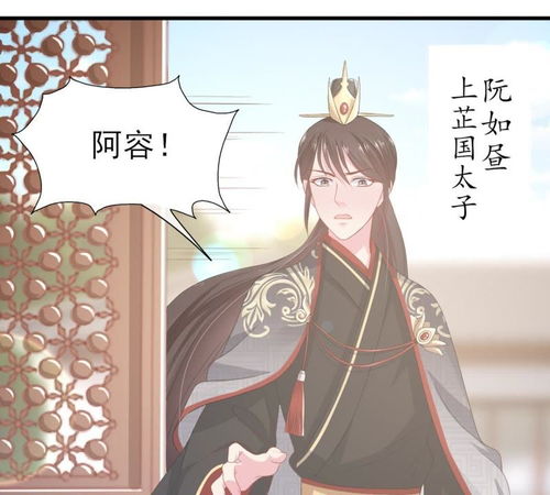 沉霄哥哥你别跑（95集）
