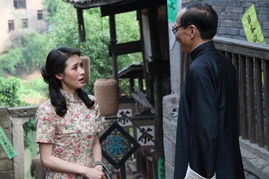 一树梨花压海棠，严雯丽的传奇人生（82集电视剧深度解析）
