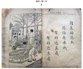 替嫁千金落难记（80集）