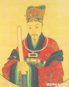 最强帝师县令，权力与智慧的交织（100集深度解析）
