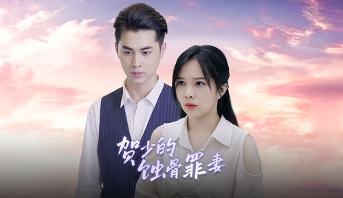 傅少罪妻归来