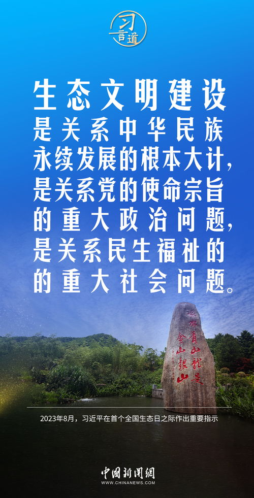 步步为上，97集的人生智慧与策略之道