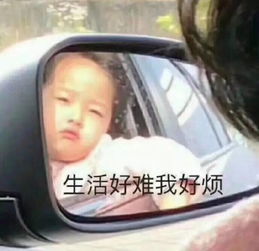 陆总，别再虐了，孩子真是你的