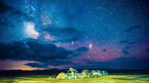 闪耀的星星与盛总的错选，盛总你找错白月光了（89集剧情解析）