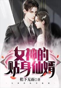 极品仙婿