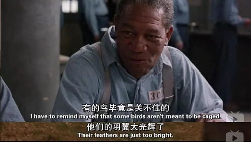 玫瑰的救赎（64集）