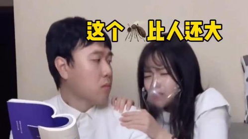 历总别虐了夫人才是真大佬（90集）