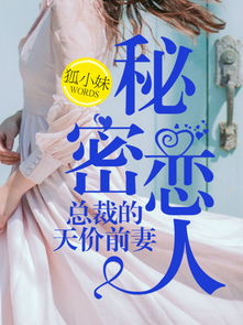 婚浅情深之总裁的天价前妻