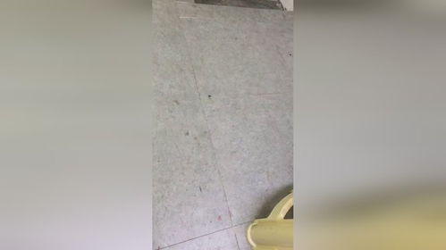 疯批少帅又把小妈沉塘了