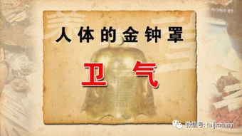 圣医潜龙，医术与智慧的融合