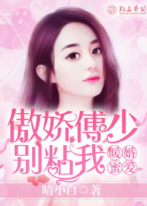傅少的暖婚娇妻，爱情与生活的甜蜜交响曲